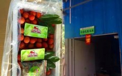 生鲜水果，生鲜农产品运输包装解决方案大全