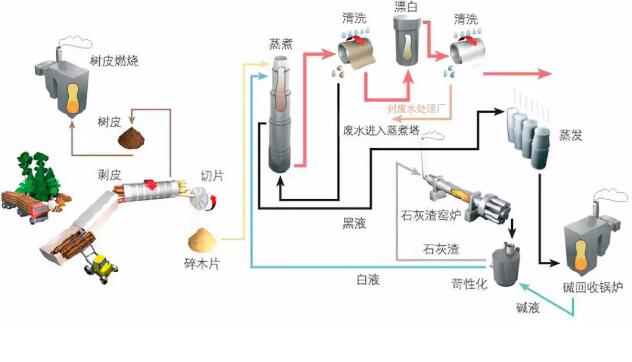 纸浆的生产流程和应用